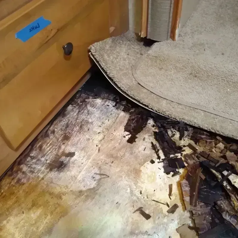 Best Wood Floor Water Damage Service in Bear, DE